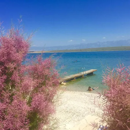 Apartment Apartman Kozjak Vir